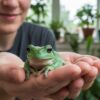 Espérance de vie d'une grenouille domestique guide pour bien choisir et soigner