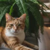 Plantes non toxiques pour chat