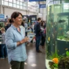 Bourse aux poissons 2026 calendrier complet des bourses aquariophiles en France et Belgique