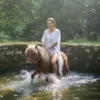 Piscine à chevaux rééducation et bien-être équin en milieu aquatique